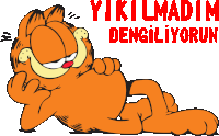 a cartoon of garfield laying down with the words " yikildim dengiliyorsun " written below him