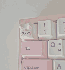 a close up of a keyboard with a cat face on the tab key