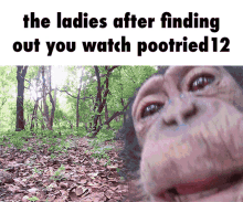 a picture of a monkey with a caption that says the ladies after finding out you watch pootried 12