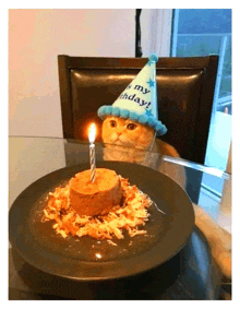 a cat wearing a party hat looks at a birthday cake with a candle on it