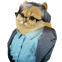 a cat with glasses and a gray wig