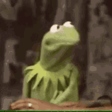 kermit the frog is sitting at a table with a person using a computer .