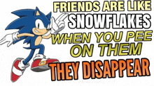 a sonic the hedgehog poster that says friends are like snowflakes when you pee on them they disappear ..