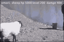 a gif of a sheep with the words omori sheep hp 5000 level 200 damg 400