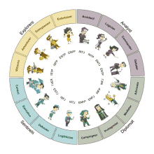 a circle with a bunch of people in it with labels like explorers and analyst