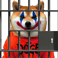 a dog with a clown face is behind bars wearing an orange shirt that says doge