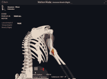 a computer screen shows a skeleton and says motion mode on the top