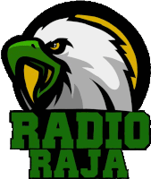 a logo for radio raja shows an eagle with a lightning bolt around its head