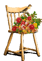 a bird perched on a chair with a basket of flowers