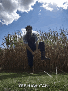 a man in a cowboy hat is kneeling in a field of corn with yee haw y all written below him