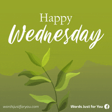 a green background that says happy wednesday