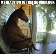 a horse is sitting in a rocking chair with a caption that says my reaction to that information