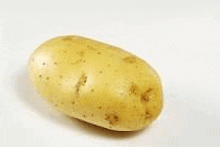 a single potato is on a white surface .