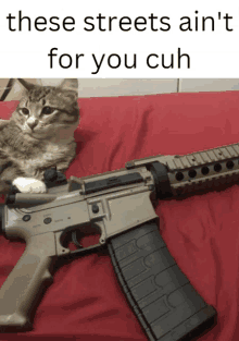 a cat laying next to a gun that says these streets ain t for you cuh