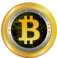 a gold coin that says redo bitcoin on it