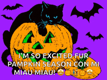 a black cat is sitting on top of a pumpkin with the words i 'm so excited fur pumpkin season con mi miaumiau