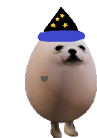 a white egg wearing a wizard hat with yellow stars