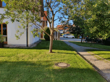 a white house with a lush green lawn and a tree in front of it