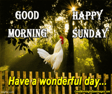 a rooster standing on a wooden fence with the words good morning and happy sunday