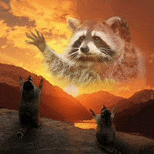 two raccoons are sitting on a rock with a raccoon flying in the sky above them