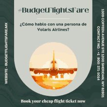 an advertisement for budget flights fare shows a plane taking off