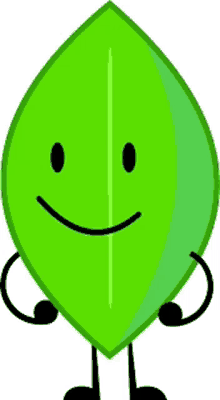 a green leaf with a smiling face and black legs