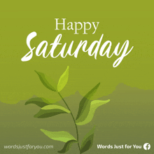 a green background that says happy saturday with a plant in the foreground