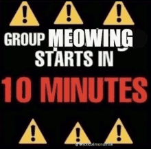 a sign that says group meowing starts in ten minutes