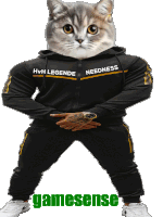 a cat is wearing a black hoodie that says hvh legends needness