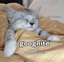 a cat is sleeping on a bed with a caption that says `` goognite i sleep now you sleep soon pls ''