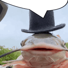 a fish wearing a top hat with a white speech bubble above it