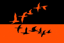 a black and orange background with a flock of birds flying