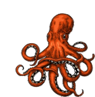 a drawing of an octopus on a white background