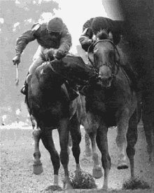 a black and white photo of two horses racing