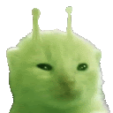 a green kitten with antennas on its head is looking at the camera .