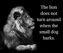 a black and white photo of a lion with a quote below it