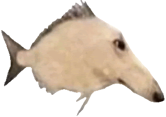 a fish with a horse 's head on it 's body .