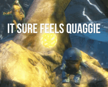 a poster that says " it sure feels quaggie " on it