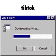 a computer screen that says tiktok virus alert downloading virus ok cancel