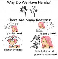 why do we have hands there are many reasons pat the dessi cherish the dessi hold the dessi