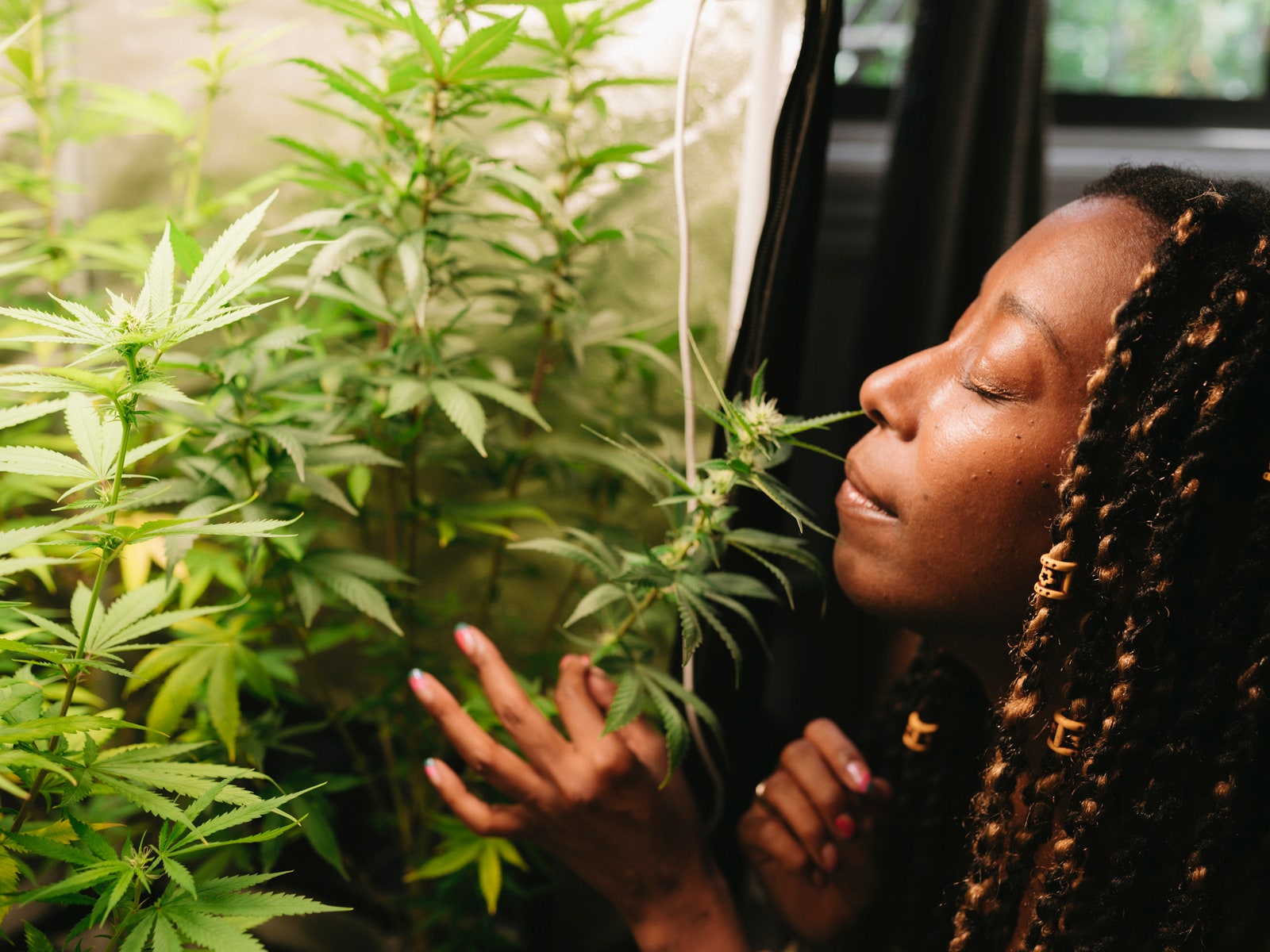 Solonje Burnett Is New York’s Queer Weed Auntie