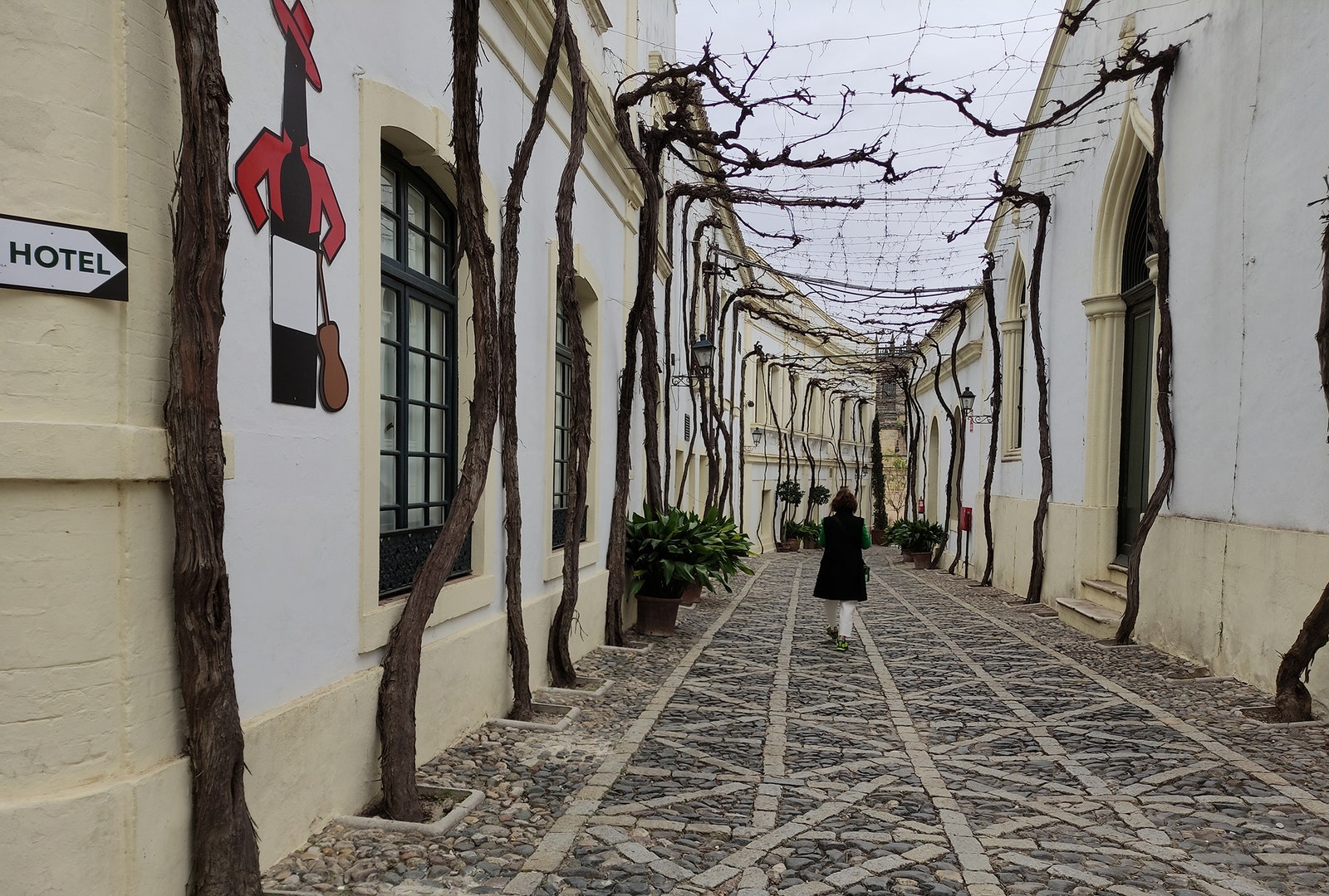 El Callejón de los Ciegos Jerez