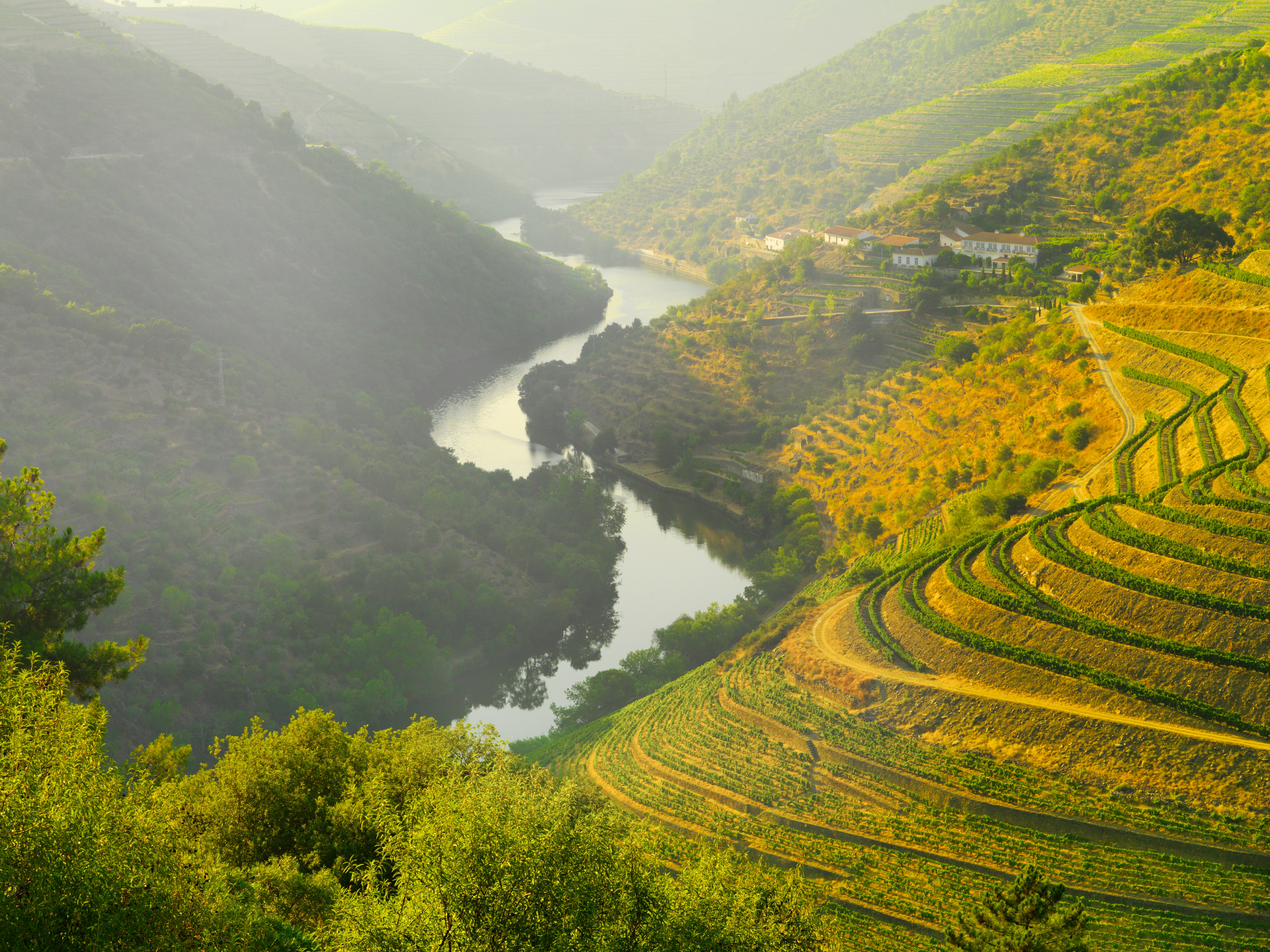 El Douro, un collage de la vida calma