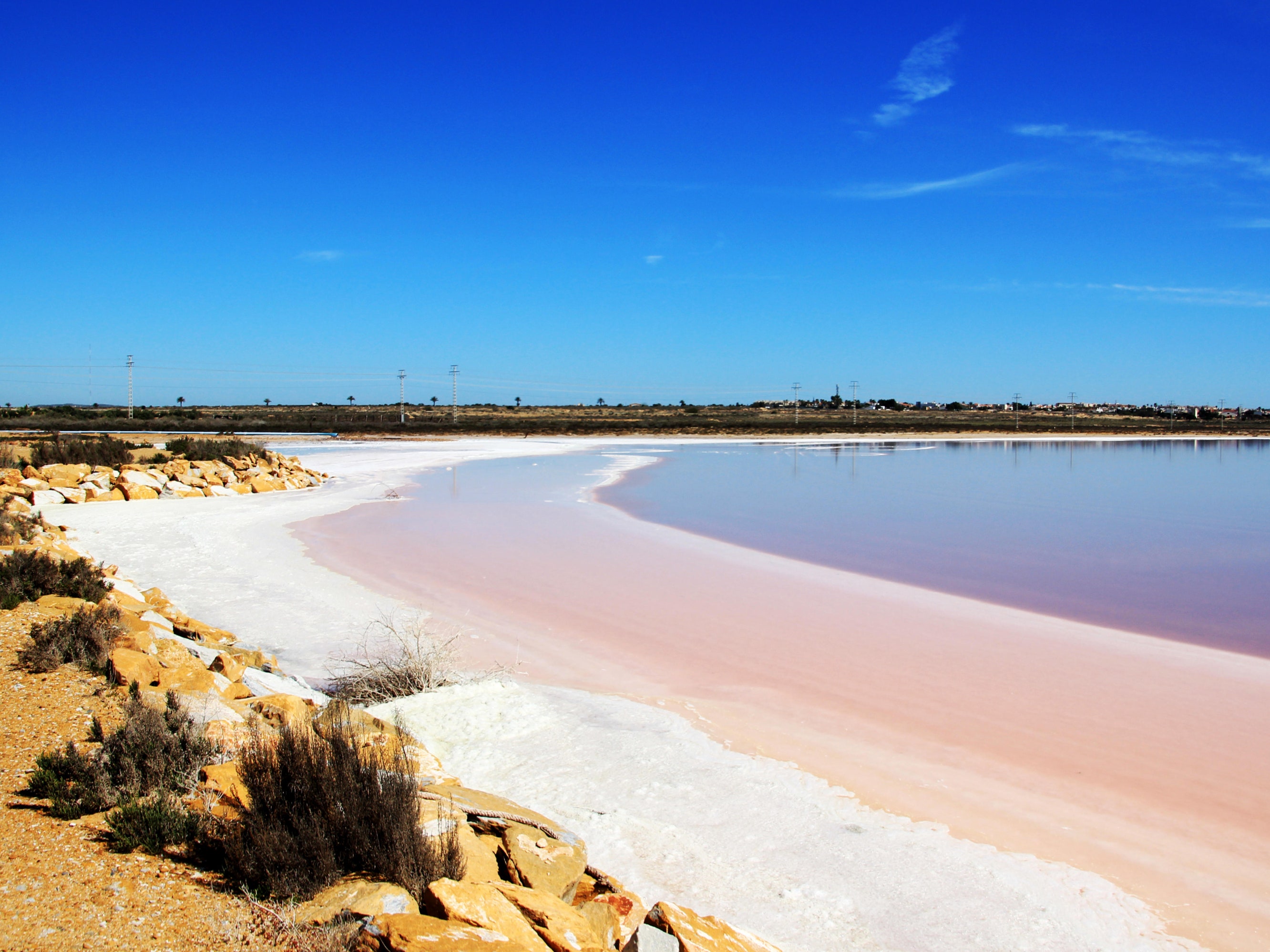 La laguna rosa de Torrevieja: un fenómeno natural único en España