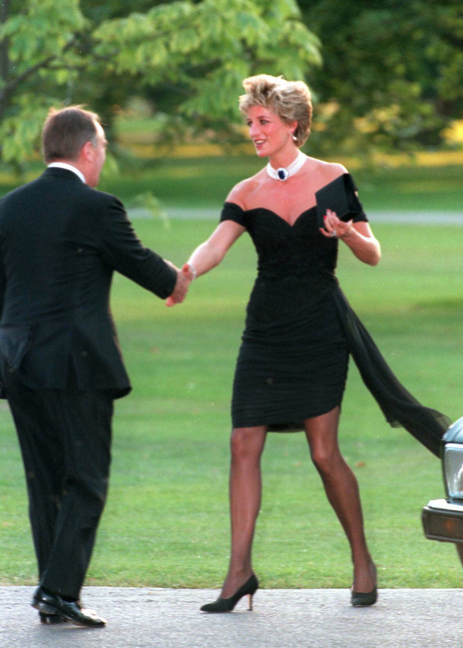 Image may contain Diana Princess of Wales Clothing Apparel Human Person Plant Grass Evening Dress Fashion and Gown