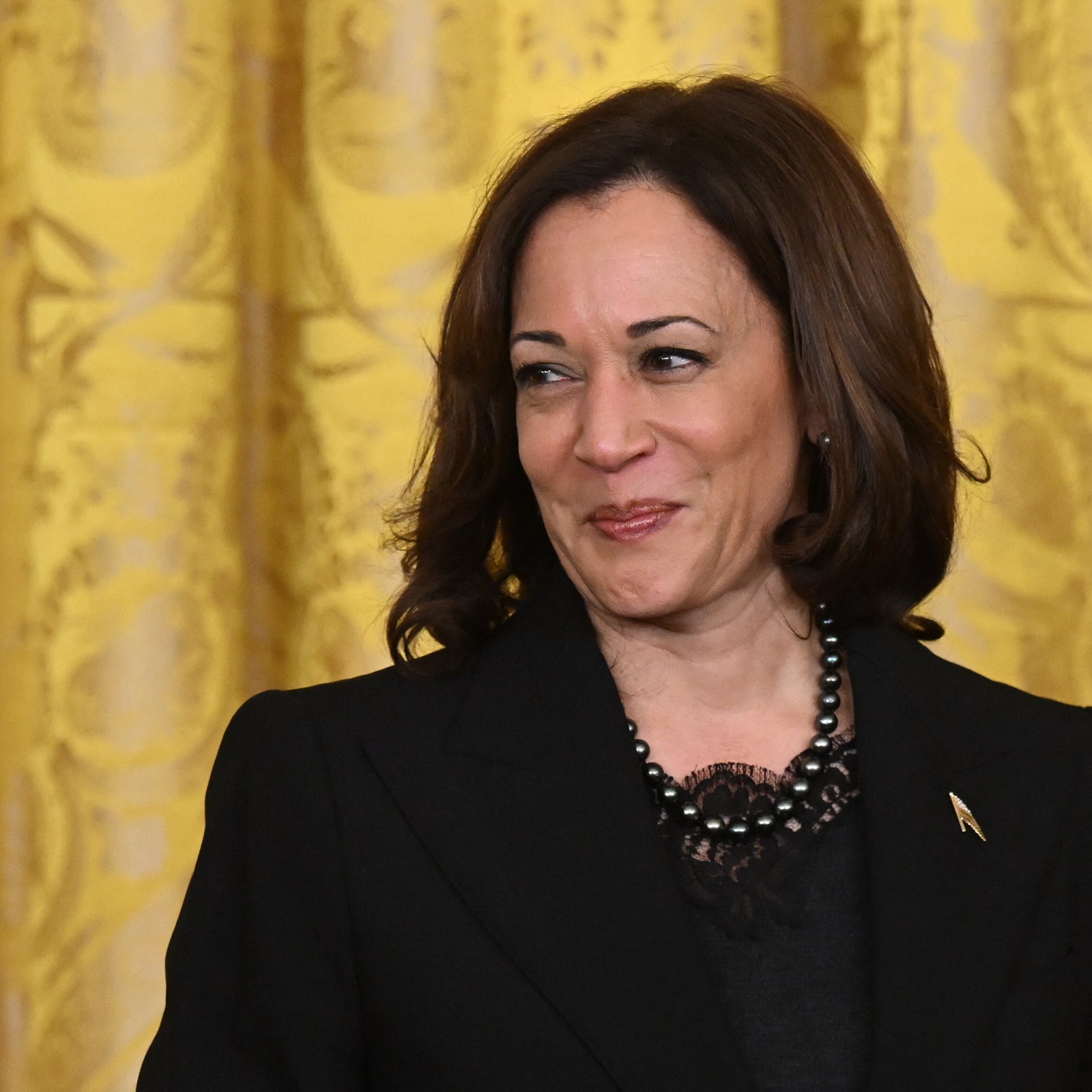 The Viral Kamala Harris “Coconut Tree” Meme, Explained