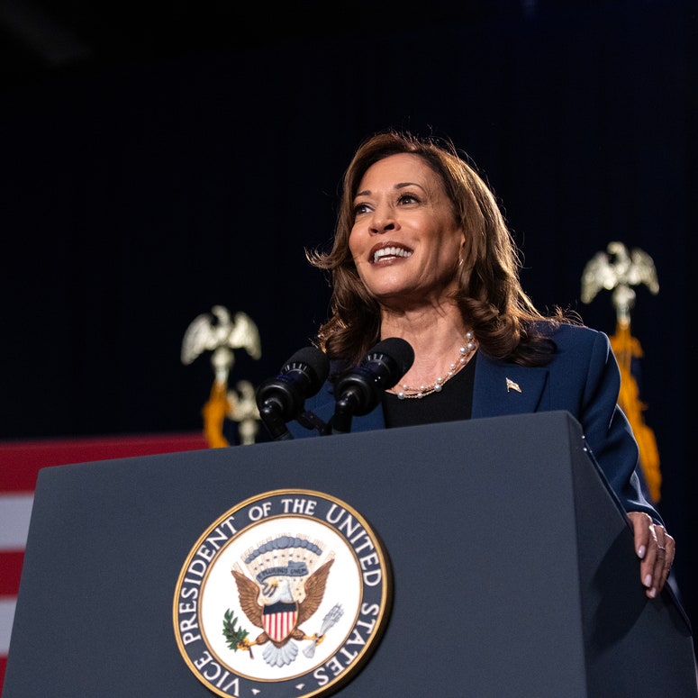 Image may contain: Kamala Harris, Crowd, Person, People, Electrical Device, Microphone, Accessories, Jewelry, and Necklace