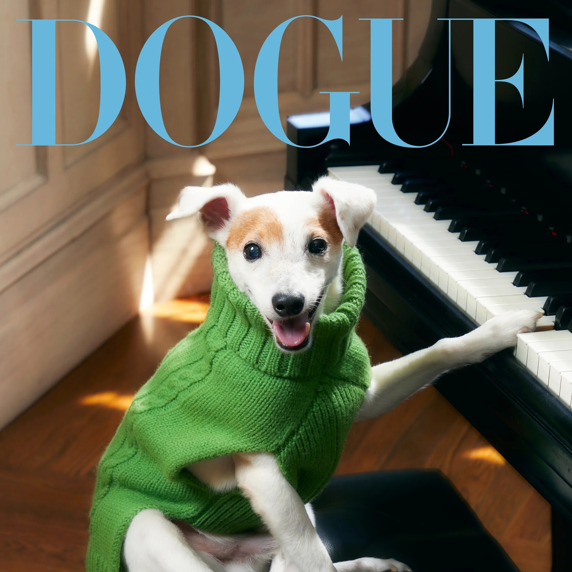 這次不是VOGUE是《DOGUE》！12版名人狗狗封面故事：從怪奇比莉許的比特犬到黛咪摩爾的迷你吉娃娃