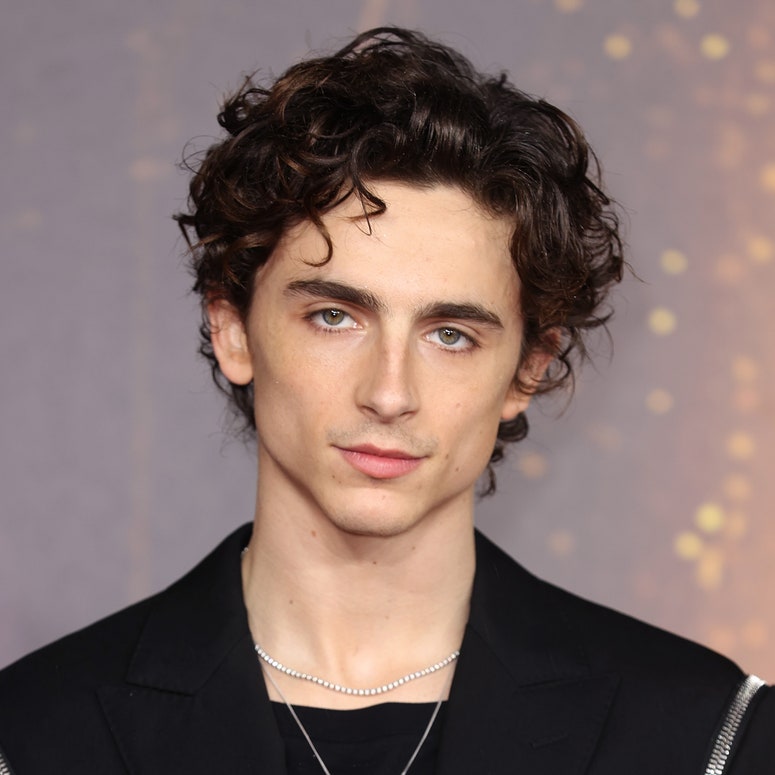 Timothee Chalamet Wonka