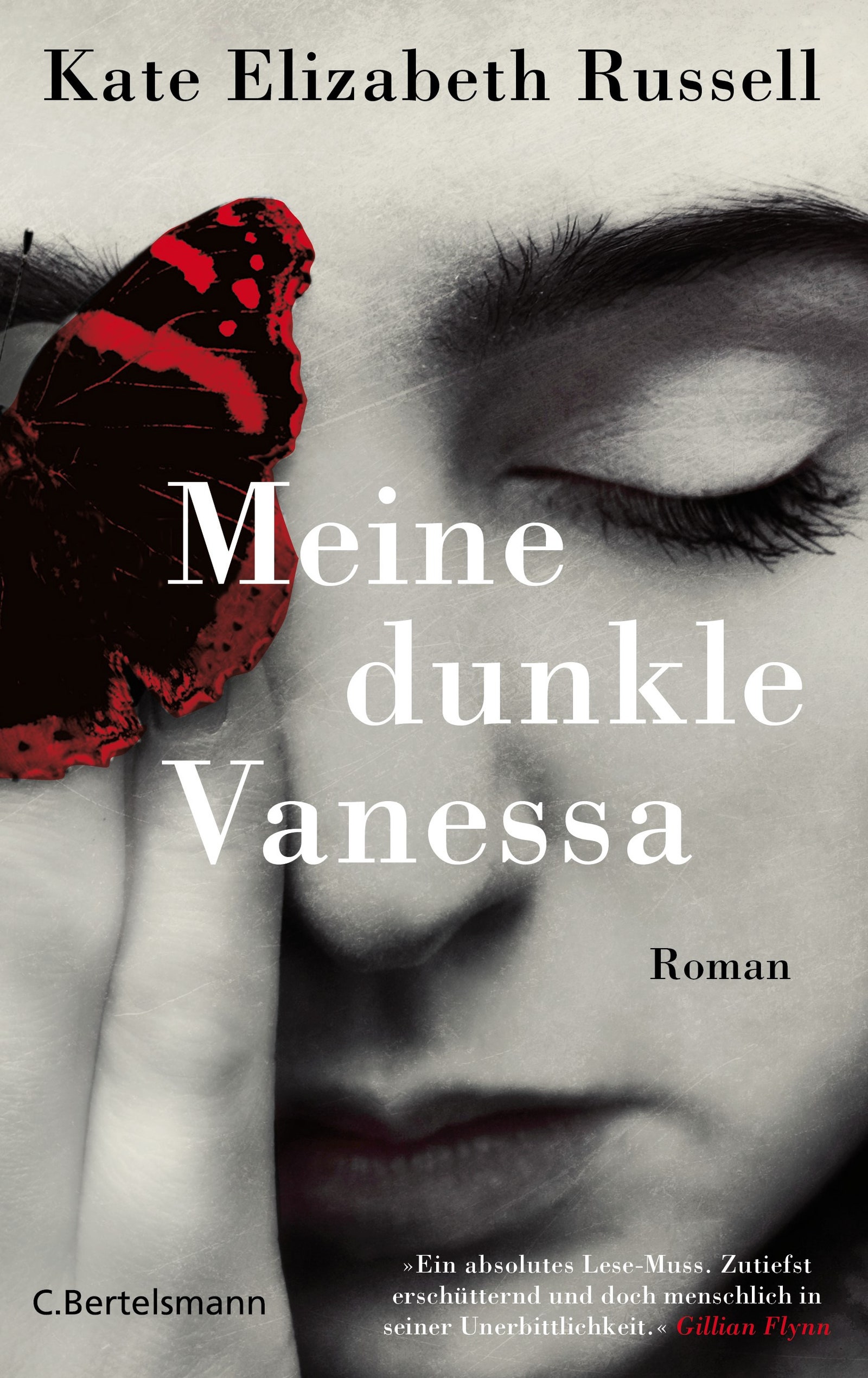 Meine dunkle Vanessa Kate Elizabeth Russell Buchtipp Herbst